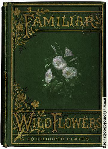 [Picture: Front Cover in Green]