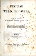 [Picture: Title Page, Wild Flowers Series One]