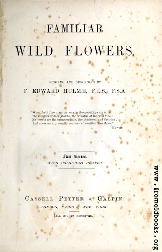 [Picture: Title Page, Wild Flowers Series One]