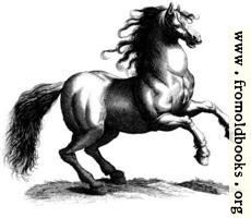 135a.—Antique engraving of a horse