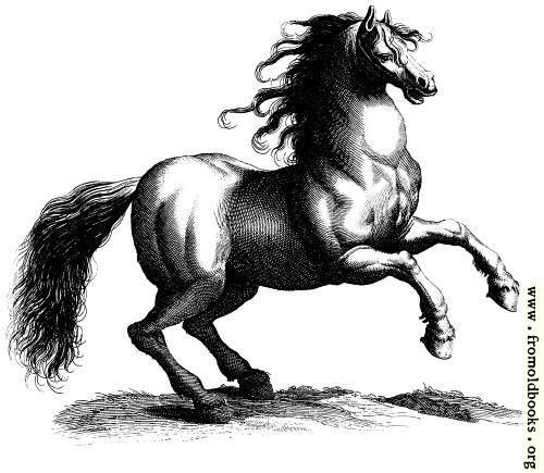 [Picture: 135a.—Antique engraving of a horse]
