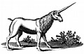 [Picture: Unicorn with Mane (Monoceros seu Unicornu Jubatus)]
