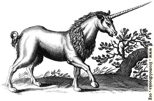 [Picture: Unicorn with Mane (another one)]