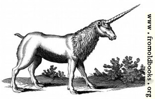 [picture: Unicorn with Mane (Monoceros seu Unicornu Jubatus)]