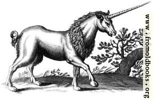 [picture: Unicorn with Mane (another one)]