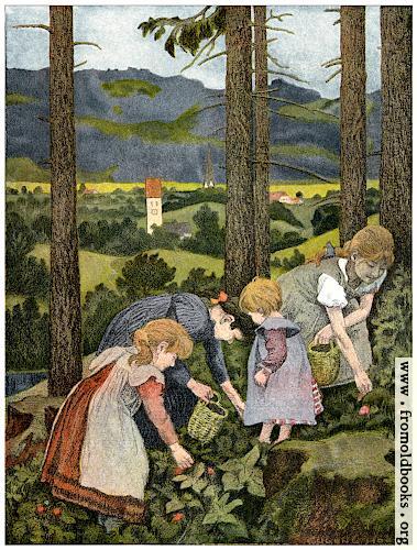 [Picture: Strawberry Season (Erdbeerenzeit)]