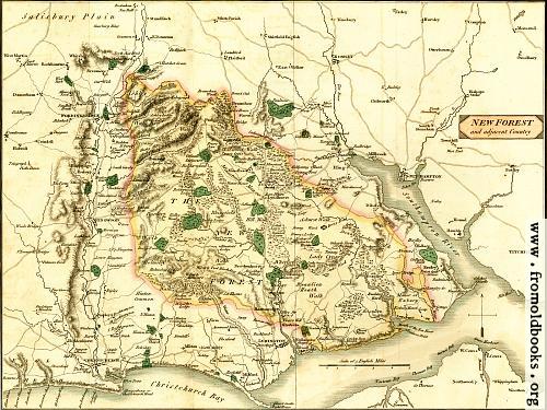 [Picture: Map of the New Forest and Adjacent Country]