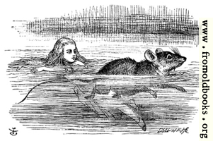 [Picture: Alice swimming near a mouse]
