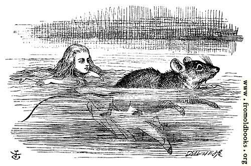 [Picture: Alice swimming near a mouse]