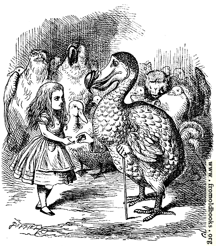 [Picture: Alice and the Dodo]