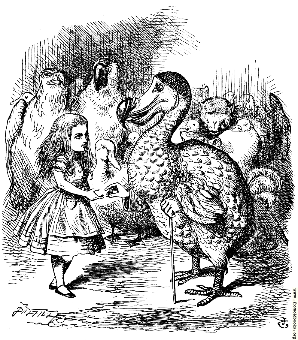 [Picture: Alice and the Dodo]