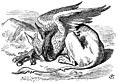 [Picture: The Gryphon Asleep]