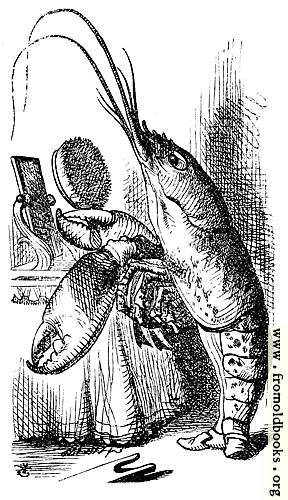 [Picture: Lobster primping before a mirror]