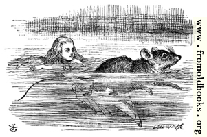 [picture: Alice swimming near a mouse]