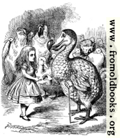 [picture: Alice and the Dodo]