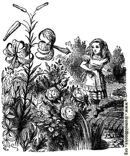 [Picture: Alice in the Garden of Live Flowers]