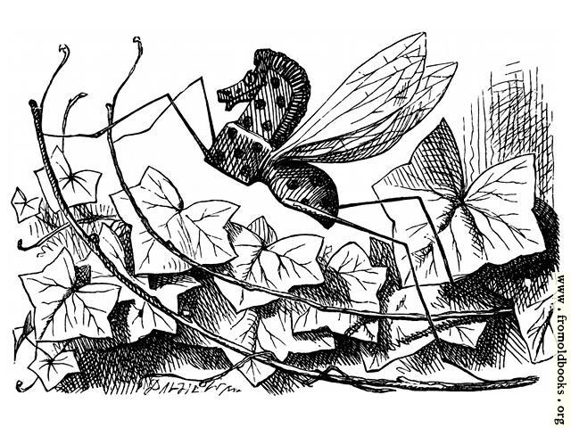 [Picture: Rocking-Horse Fly]