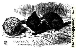 [picture: The black kitten with a ball of twine]