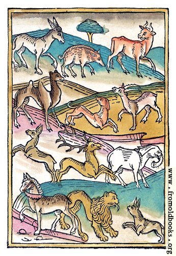 [Picture: Page 113. Four Footed Beasts.]