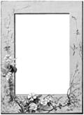 [Picture: Border with flowers]