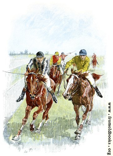 [Picture: Horse Racing: Finish]