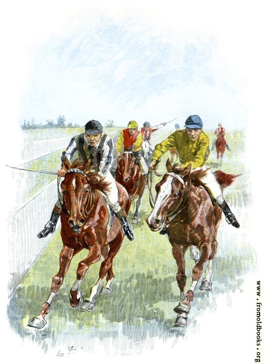 [Picture: Horse Racing: Finish]
