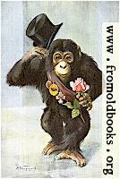 [picture: Happy New Year!]