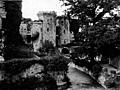 Old Moat of Raglan
