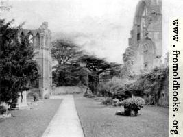 [picture: Dryburgh Abbey]