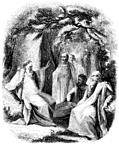 [Picture: 15.—Group of Arch-Druid and Druids]