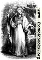 29.—Arch-Druid in his full Judicial Costume.