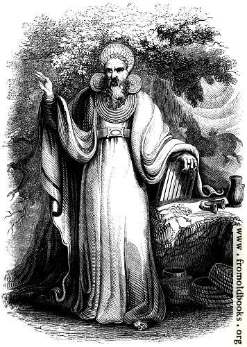 [Picture: 29.—Arch-Druid in his full Judicial Costume.]