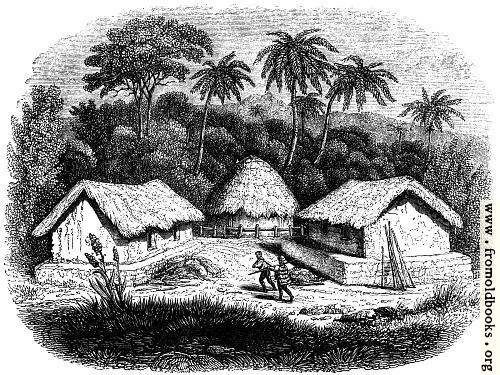 [Picture: 49.—Huts in a Cingalese Village.]