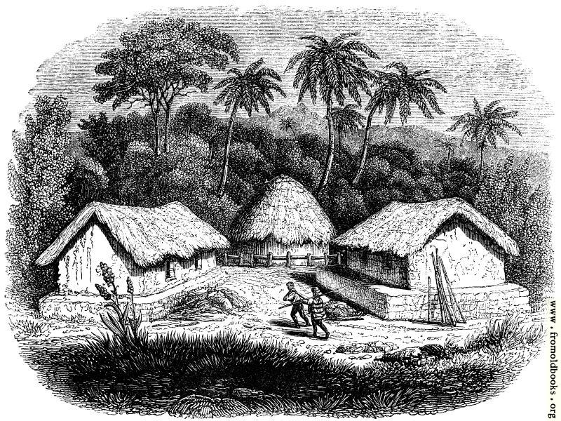 [Picture: 49.—Huts in a Cingalese Village.]