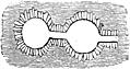 [Picture: 53.—Plan of Chambers on a Farm twelve miles from Ballyhendon]