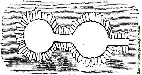 53.—Plan of Chambers on a Farm twelve miles from Ballyhendon