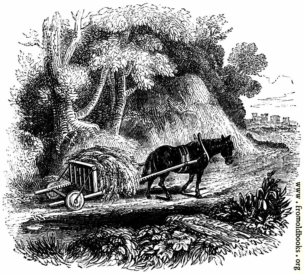[Picture: 74.—Welsh Agricultural Cart]