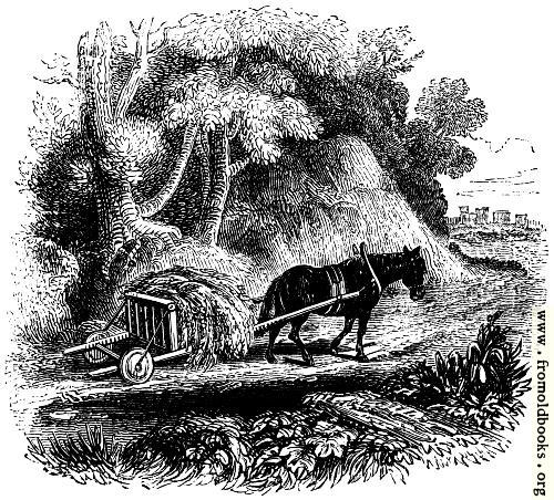 74.—Welsh Agricultural Cart