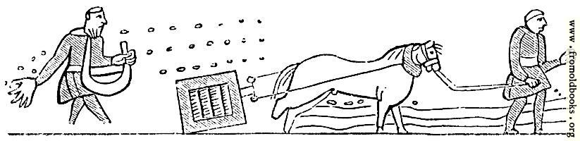 257.—Harrowing and Sowing (Bayeux Tapestry.)
