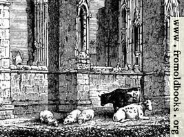 [Picture: 1023.—Howden Church (detail for use as computer desktop background image)]
