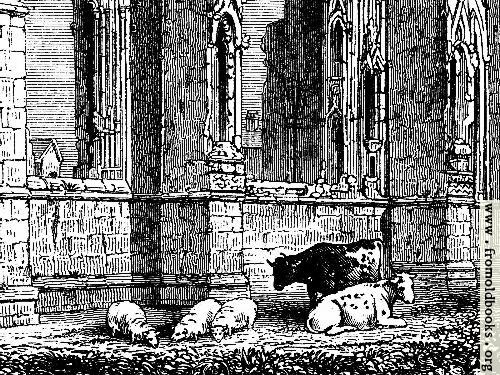 [Picture: 1023.—Howden Church (detail for use as computer desktop background image)]