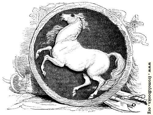 [Picture: The Standard of the White Horse]