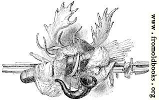 Tailpiece of hunting paraphernalia