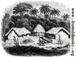 [picture: 49.---Huts in a Cingalese Village.]