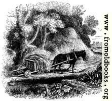 [picture: 74.---Welsh Agricultural Cart]