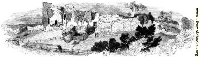 [picture: 105.---General View of the Ruin of Pevensey Castle.]