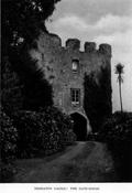 [Picture: Trematon Castle: The Gate-house]