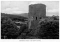 [Picture: Tretower Castle]