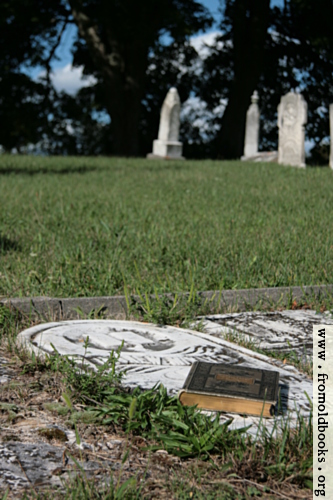 [Picture: Old book on gravestone]