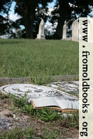 Iron cross and open book on grave